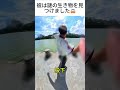 彼は謎の生き物を見つけました😱