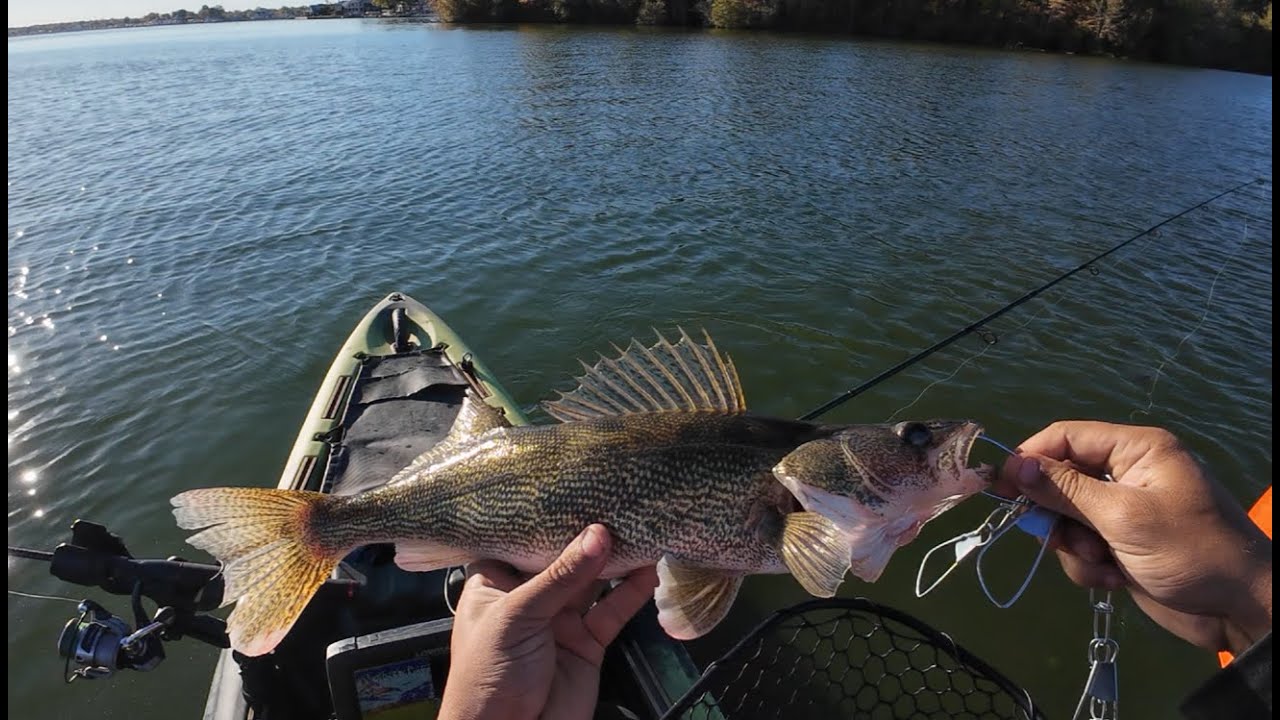 Saugeye Rigs Fishing for Saugeye with Crankbaits. Personal Best Fish Ohio! - YouTube