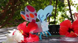 Botterfly with Bit Board & micro:bit