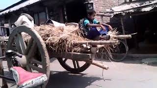 Bullock cart in Bangladesh, Village of Bangladesh