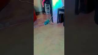 Famous October 19, 2025 Net Worth