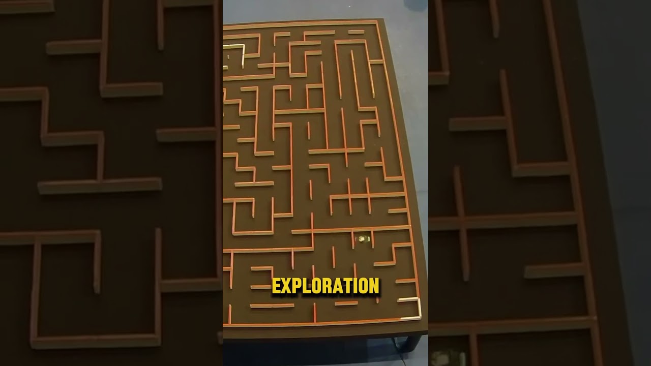 Micromouse Racing Gets CRAZY!? 