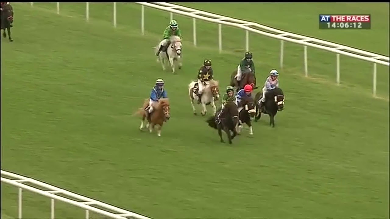 Shetland Pony Racing - Doncaster Thriller!