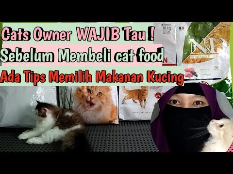 Video: Cara Memilih Makanan Untuk Kucing Yang Disterilkan