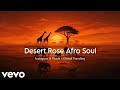 Papaoutai Stromae Afro Soul Tik Tok Mikeeysmind 2026