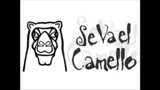 Version 3 of the video