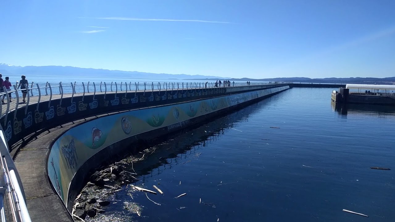 Ogden Point Breakwater Walk and Lighthouse in Victoria, BC YouTube Ogden Point Breakwater Walk and Lighthouse in Victoria, BC YouTube