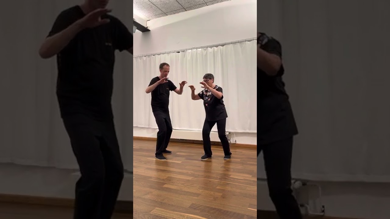 Tai Chi Application Push - 🇩🇪 Tai Chi Anwendung Schieben (Push)