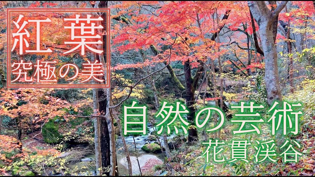 茨城 花貫渓谷 関東で最も美しい紅葉の名所の１つ 清流花貫川のせせらぎの音を聞きながら 紅葉が彩る花貫渓谷を散策 観光名所 Amazing Autumn Leaves Ibaraki Japan Youtube