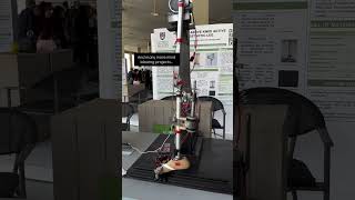 Mind Blowing Projects at UPEI Cairo Campus Design Expo 2026