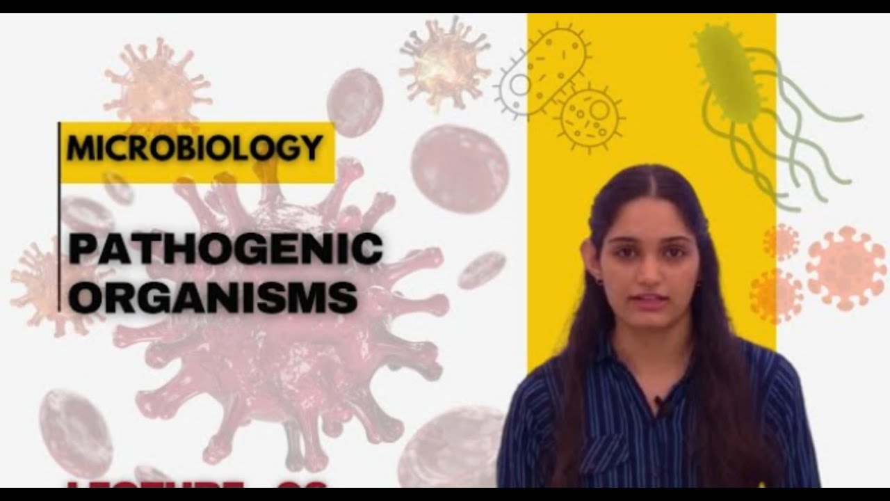 Human Immunodeficiency Virus (HIV) | AIDS | Pathogenic organisms ...