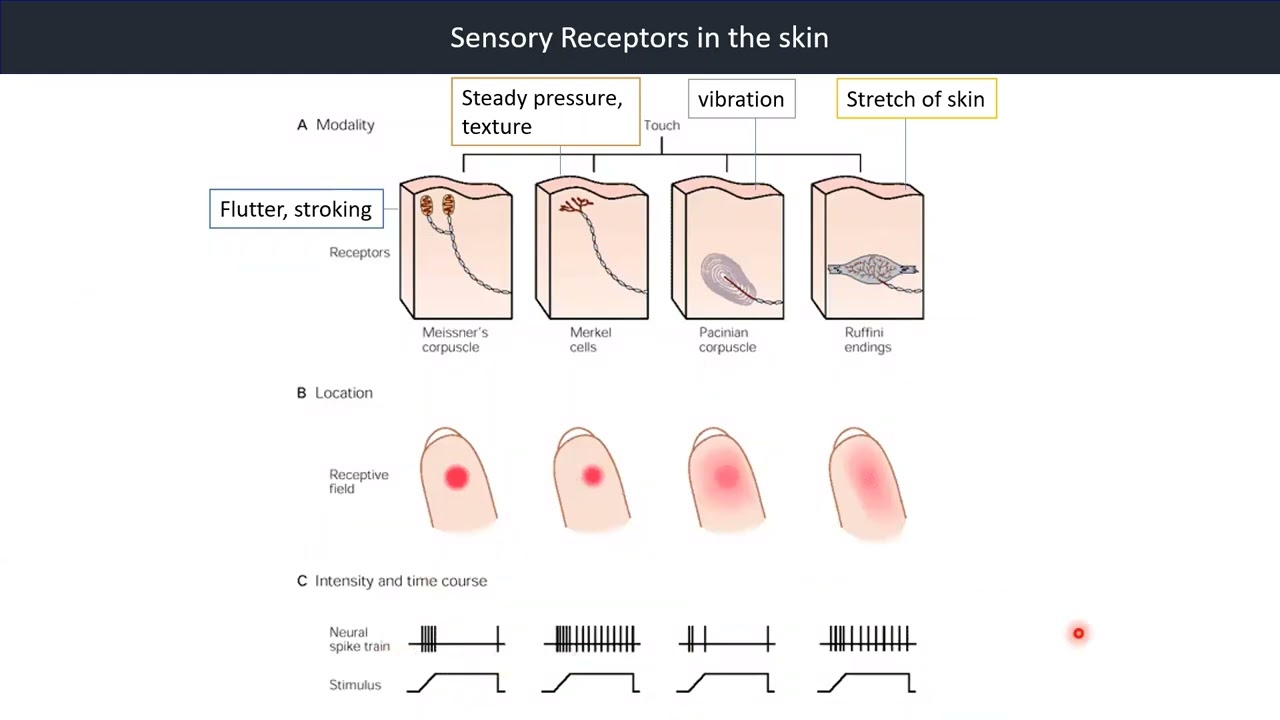 youtube-video-thumbnail