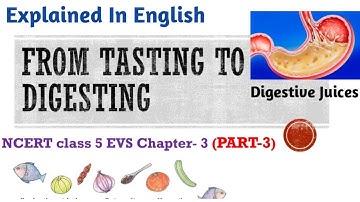 From Tasting To Digesting (Part-3) In ENGLISH | NCERT Class 5 EVS Chapter-3 | CBSE Class5 EVS