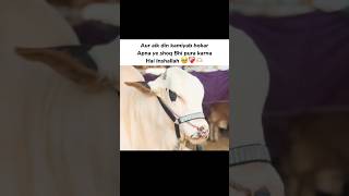 Inshallah 🥹❤️‍🩹🫶🏻 #shorts #trending #ytshorts #bakraeid #season2026