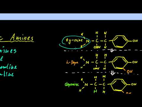 Video: Perbedaan Antara Neurotransmitter Dan Neuromodulator