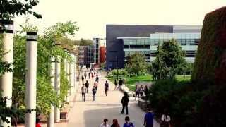 TEDxUTSC 2015: Brian Harrington