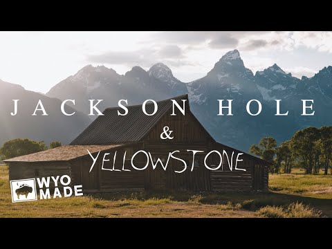 JACKSON HOLE & YELLOWSTONE TRAVEL VLOG