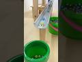 Marble Run ASMR ☆ Wooden Rail & Gutter Rail, Mario Earthen Tube Case #shorts #marble #asmr