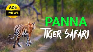 Panna Tiger Safari  4K Video Hindi | हिन्दी