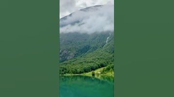 إنما أمره إذا أراد شيئا أن يقول له كن فيكون/مقطع قران قصير تلاوة خاشعة بصوت ابو الوفاء الصعيدي