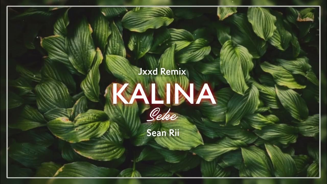 KALINA (Jxxd Remix) KALINA (Jxxd Remix)
