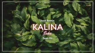 KALINA (Jxxd Remix)