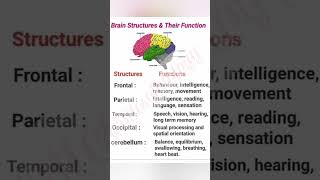 #biology #neet #flashcards #shorts #tgt #ctet