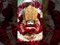 श्याम सा दिलदार नहीं।#shyam#ytshorts#love#song#shortvideo#shorts#short#shots#yt#ytshort#babaji#baba