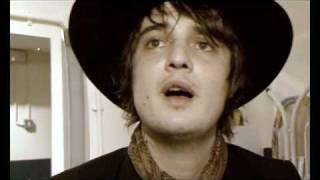 Famous Peter Doherty - NME Show Net Worth