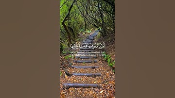 سورة الإسراء الآيات ( 15 - 16 )                        Surah Al-Isra, verses (15-16)