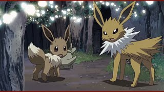 Eeveelutions Amv - Rainbow Requested