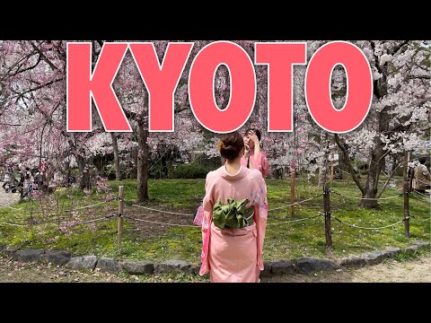 Video: Kyoto'da Nerede Kalınır?