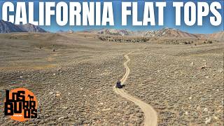 видео: Конец лета в Восточной Сьерре | Одиночное восхождение на высоту 10 000 футов картинка: Конец лета в Восточной Сьерре | Одиночное восхождение на высоту 10 000 футов