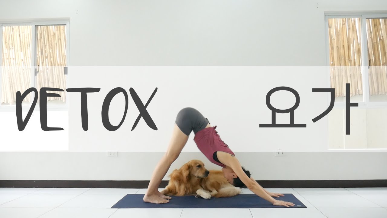 [EVA YOGA]20분 디톡스 요가