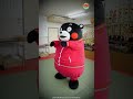 Kumamon Beats a Karate Master!?