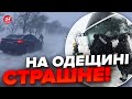 😱Одещину накрила ХУРТОВИНА! Люди без світла, транспорт ПРИПИНИВ рух / Екстрені деталі