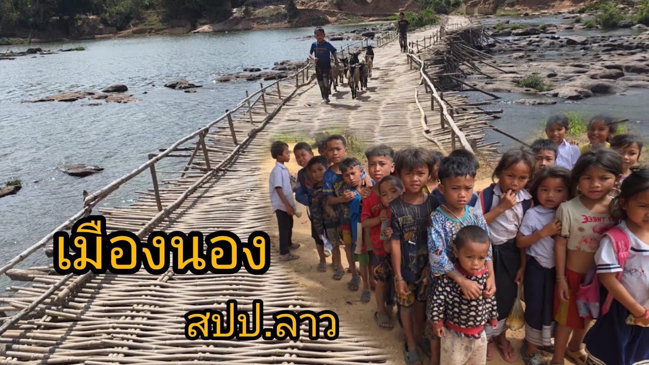 #เที่ยวลาว ปีสุดท้ายที่จะมีสะพานไม้ไผ่แบบนี้ แหล่งท่องเที่ยวขัวไม่ไผ่ยาวที่สุดใน #สปปลาว เมืองนอง 