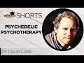 Psychedelic Psychotherapy: An Introduction
