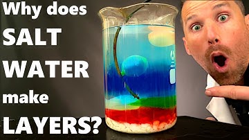 Best Salt Water Density Experiment Ever (Maybe)