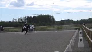 20170611 Dimmans Electra o Kajsa LB:1 KDRF