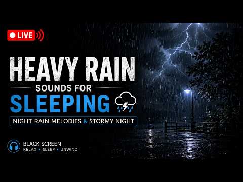Rain and Wind Sounds for Deep Sleep - Relax with 11 Hours rain and wind sounds NO ADS