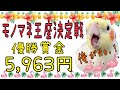 モノマネ四天王‼️ インコ界の頂点目指します(笑) オカメインコ♪ 【歌う しゃべる 口笛】