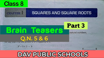 DAV class 8 maths chapter 1 brain teasers Q.N. 5 & 6