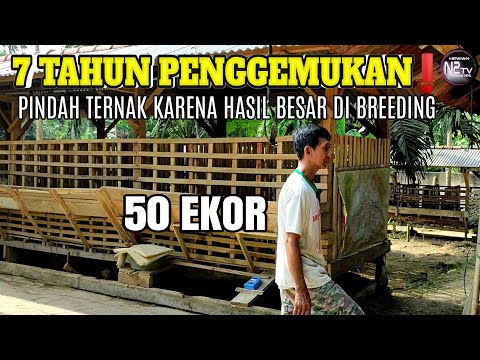 Video: Berapa Banyak Wang Adakah Pemain Besbol Membuat Tiga Puluh Tahun Lalu?