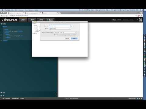 HTML 5 - Title of Our Document