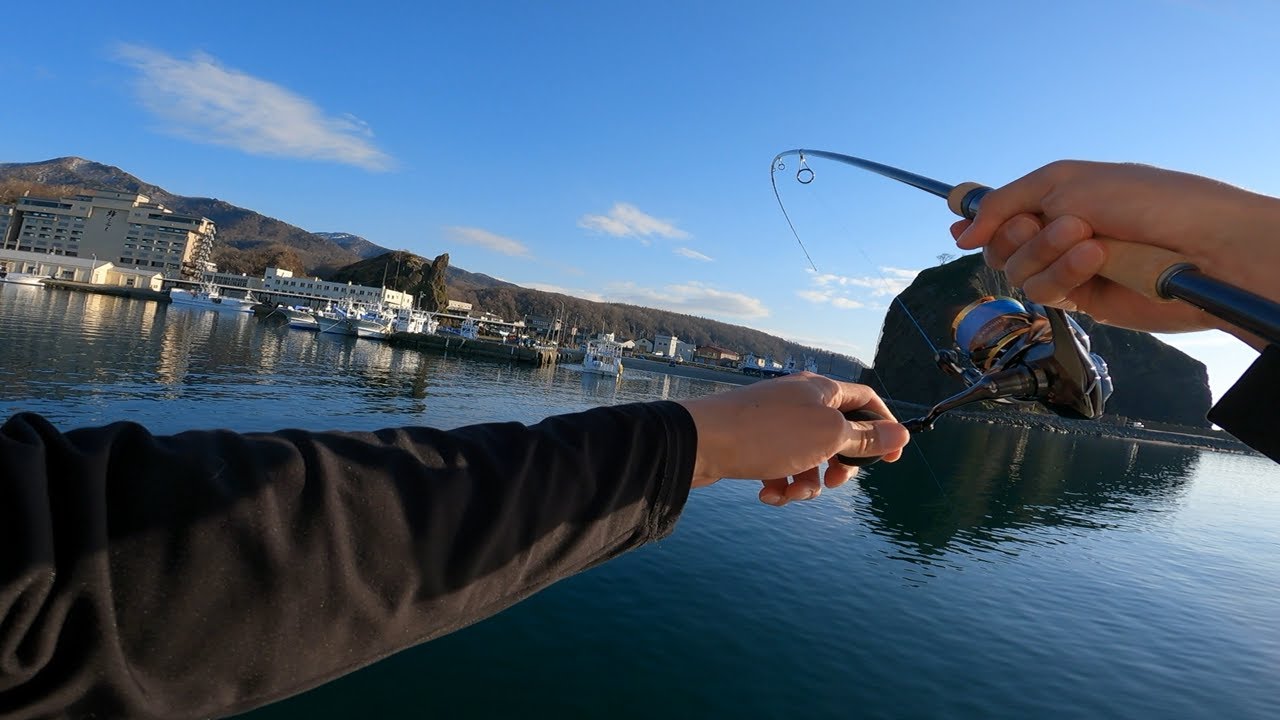 北海道の最果ては魚影が濃すぎる！