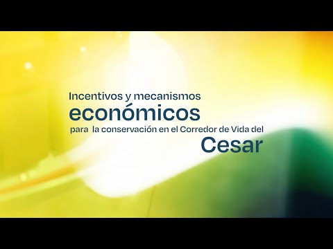 Incentivos y mecanismos económicos para la conservación en el Corredor de Vida del Cesar