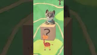 Funny Kittens Animated Stories Educational
