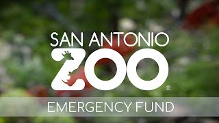San Antonio Zoo Emergency Fund