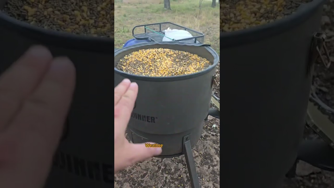 Все о доступных кормушках для оленей